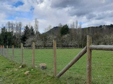 Venta / Terreno / Panguipulli