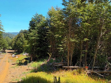 Venta / Terreno / Panguipulli