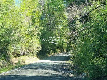 Venta / Terreno / Panguipulli