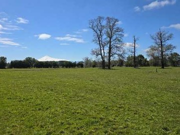 Venta / Terreno / Panguipulli