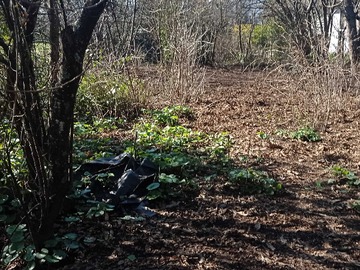 Venta / Terreno / Panguipulli