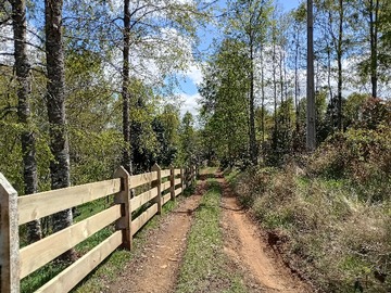 Venta / Terreno / Panguipulli