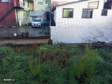 Imagen 6