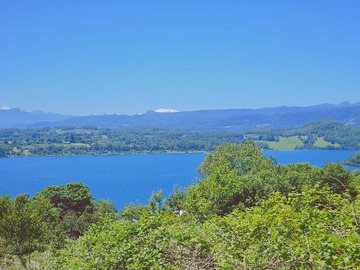 Venta / Terreno / Panguipulli