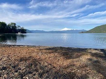 Venta / Terreno / Panguipulli