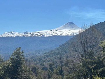 Venta / Terreno / Panguipulli