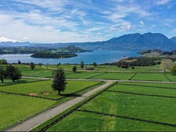 Venta / Terreno / Panguipulli