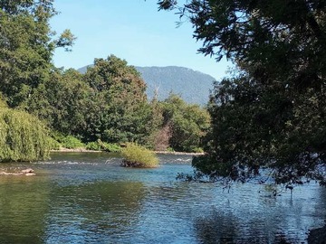 Venta / Terreno / Panguipulli