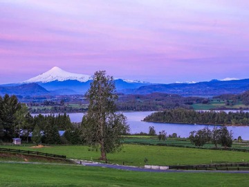 Venta / Terreno / Panguipulli