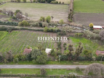 Venta / Terreno / Panquehue