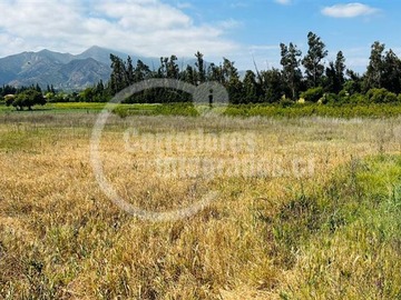 Venta / Terreno / Panquehue