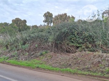 Venta / Terreno / Papudo