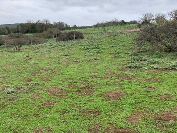 Venta / Terreno / Papudo