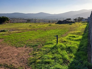 Venta / Terreno / Papudo