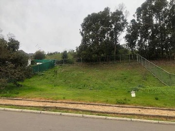 Venta / Terreno / Papudo