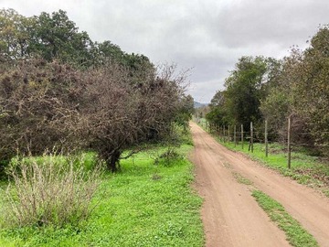 Venta / Terreno / Papudo