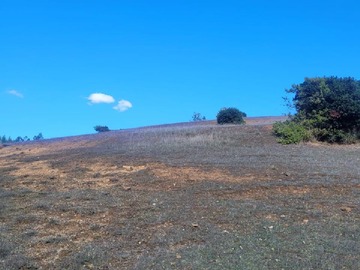Venta / Terreno / Paredones