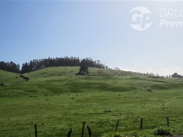 Venta / Terreno / Paredones