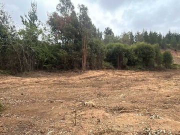 Venta / Terreno / Paredones