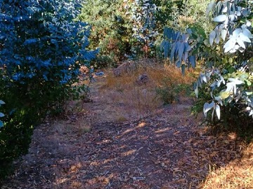 Venta / Terreno / Paredones
