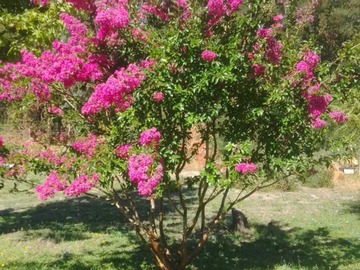 Venta / Terreno / Parral