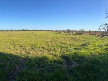 Venta / Terreno / Parral