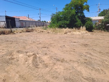 Imagen 4