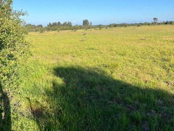 Venta / Terreno / Parral