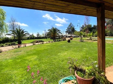 Imagen 11