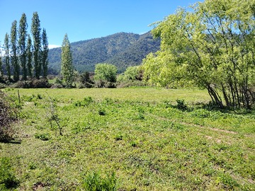 Venta / Terreno / Pelarco