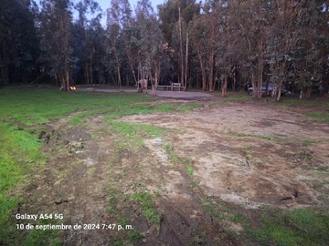 Imagen 8