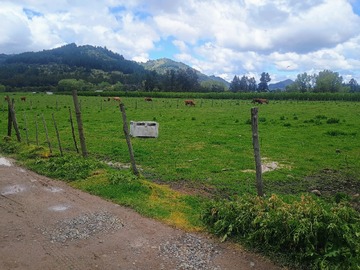 Venta / Terreno / Pelarco