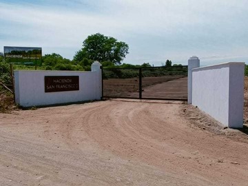 Venta / Terreno / Pelarco