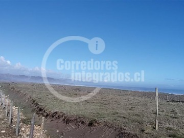 Imagen 6