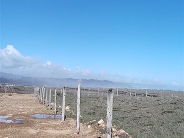Imagen 3