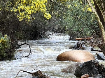 Venta / Terreno / Pelluhue