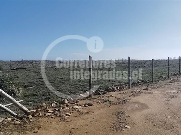 Imagen 11
