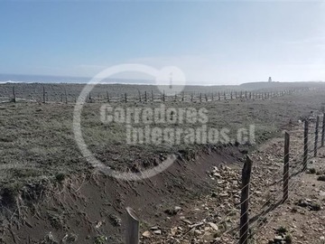 Imagen 5