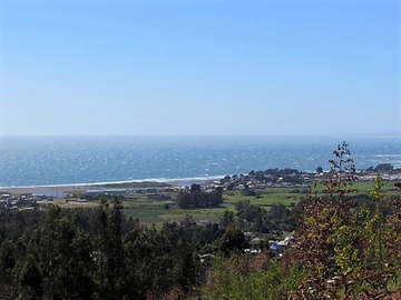 Venta / Terreno / Pelluhue