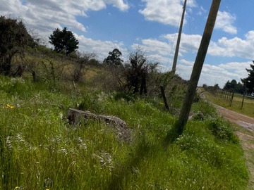 Imagen 8