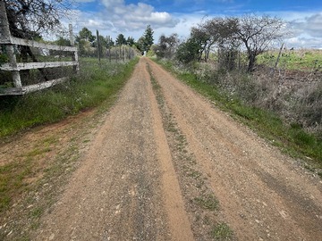 Venta / Terreno / Pemuco