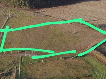 Venta / Terreno / Pemuco