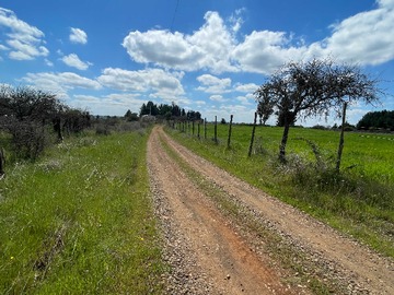 Imagen 9