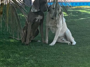 Venta / Terreno / Peñaflor