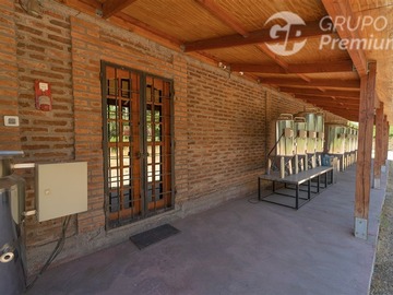 Imagen 23