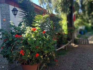 Venta / Terreno / Peñaflor