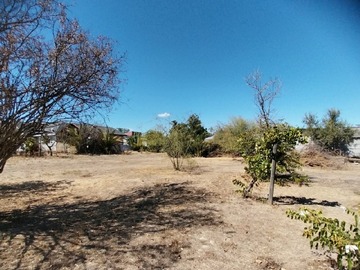 Imagen 4