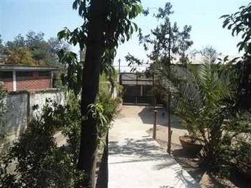 Imagen 8