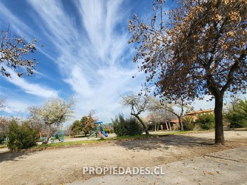 Imagen 19