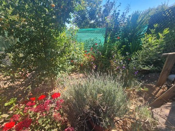 Venta / Terreno / Peñalolén